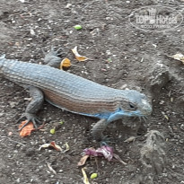 фото из отзыва ID 2162875