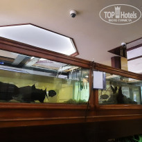 фото из отзыва ID 2163014