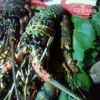 фото из отзыва ID 2161331