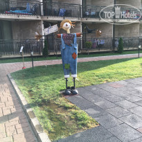 фото из отзыва ID 2163109