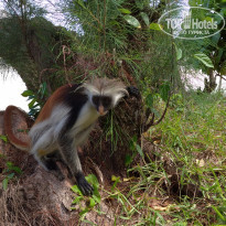 фото из отзыва ID 2163195