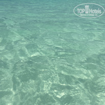 фото из отзыва ID 2163200