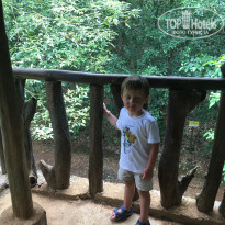 фото из отзыва ID 2163292