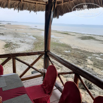 фото из отзыва ID 2163358