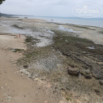 фото из отзыва ID 2163358