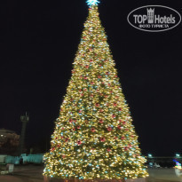 фото из отзыва ID 2163375