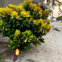 фото из отзыва ID 2163380