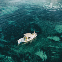 фото из отзыва ID 2163400