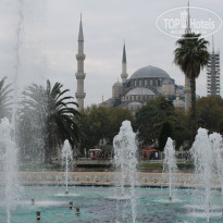 фото из отзыва ID 2163510