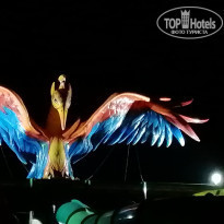 фото из отзыва ID 2163541