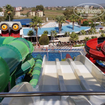 фото из отзыва ID 2163541