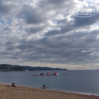 фото из отзыва ID 2163546