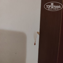 фото из отзыва ID 2163575