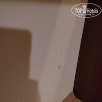 фото из отзыва ID 2163575