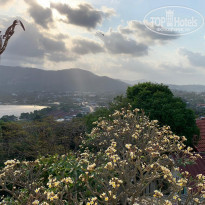 фото из отзыва ID 2163613