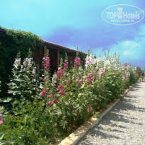 фото из отзыва ID 2163698