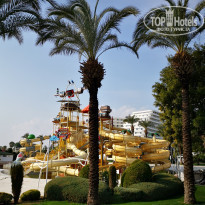 фото из отзыва ID 2163697