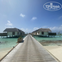 фото из отзыва ID 2163863