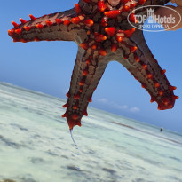фото из отзыва ID 2163882