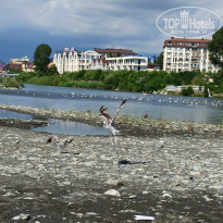 фото из отзыва ID 2163972