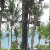 фото из отзыва ID 2163987