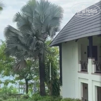 фото из отзыва ID 2163987