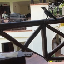 фото из отзыва ID 2163987