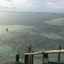 фото из отзыва ID 2163987