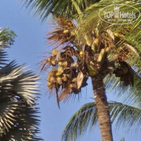 фото из отзыва ID 2163987