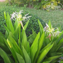 фото из отзыва ID 2163987