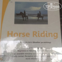 фото из отзыва ID 2163987