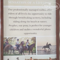 фото из отзыва ID 2163987