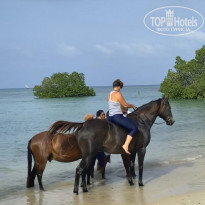 фото из отзыва ID 2163987