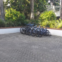 фото из отзыва ID 2163987