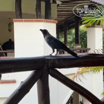 фото из отзыва ID 2163987