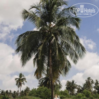 фото из отзыва ID 2163987