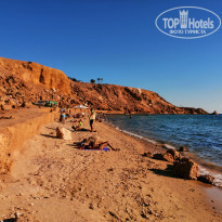 фото из отзыва ID 2164017