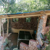 фото из отзыва ID 2164033