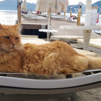 фото из отзыва ID 2164056