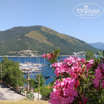 фото из отзыва ID 2164056