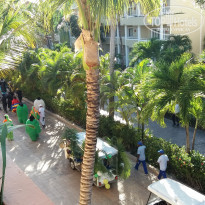 фото из отзыва ID 2164251