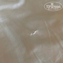 фото из отзыва ID 2164304