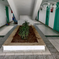 фото из отзыва ID 2164260