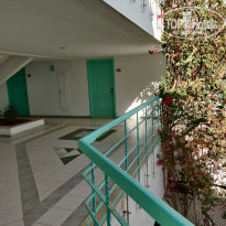 фото из отзыва ID 2164260