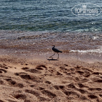 фото из отзыва ID 2164260