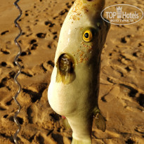 фото из отзыва ID 2164395