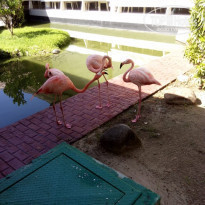 фото из отзыва ID 2164389