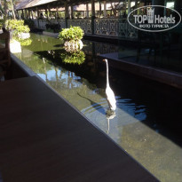 фото из отзыва ID 2164389