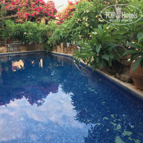 фото из отзыва ID 2164503