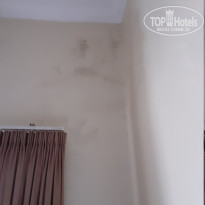 фото из отзыва ID 2164541